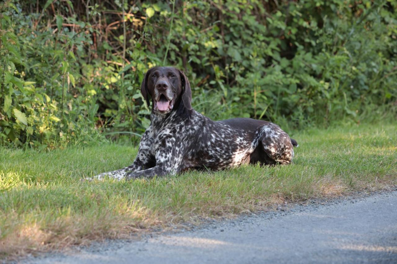 Relais De Chasse La Chaignaie Saint-Hilaire-de-Loulay ภายนอก รูปภาพ